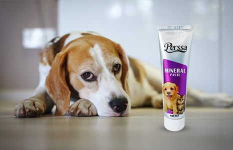 خمیر مینرال گربه پرسا مدلPASTE MINERAL